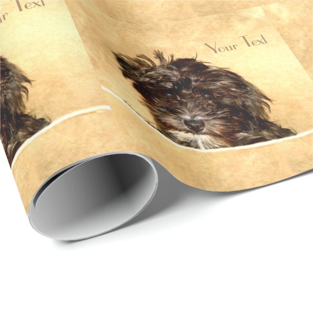Schnoodle Wrapping Paper Geschenkpapier (Rolleneckpunkt)