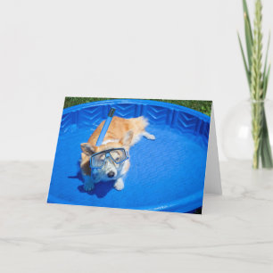 Schnorchel-Corgi leere Grußkarte Karte