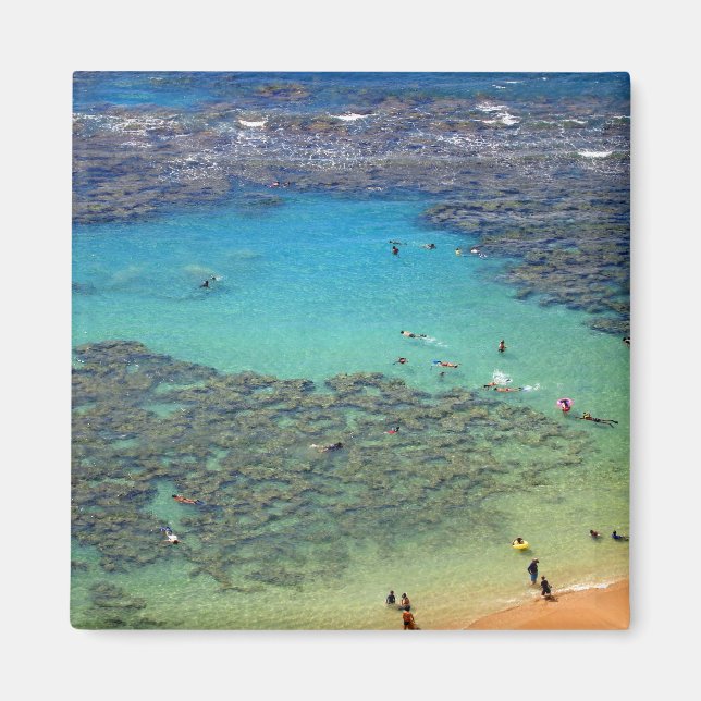 Schnorchel in Hanauma Bay, Oahu, Hawaii Magnet (Vorne)