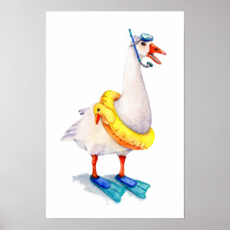 Schnorchelnde Weiße Gans Poster