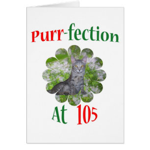 Schnurren-fection 105