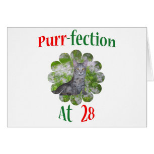 Schnurren-fection 28