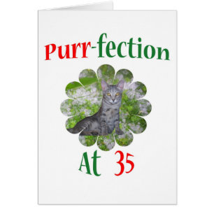 Schnurren-fection 35