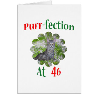 Schnurren-fection 46