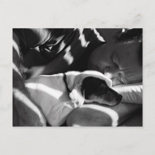 Schnürsenkel Postkarte