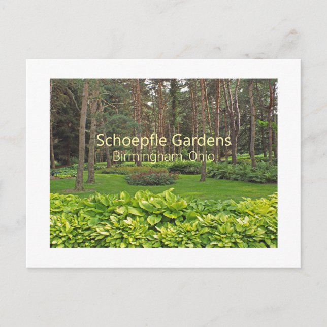 SCHOEPFLE GARDEN (OHIO) POSTCARD POSTKARTE (Vorderseite)