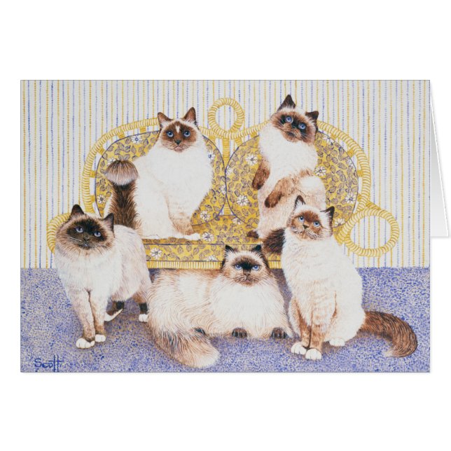 Schokolade (Vorderseite (Horizontal))