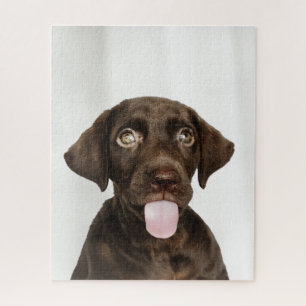 Schokolade Braun Labrador Welpe Puzzle