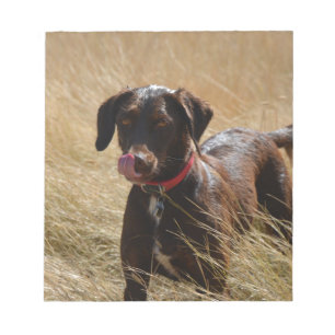 Schokolade Brawn Labrador Retriever Notizblock