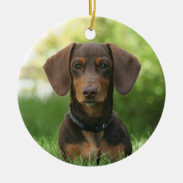 Schokolade Dackel Dackel Hund Keramik Ornament (Vorne)