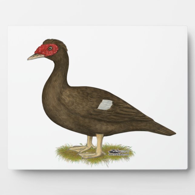 Schokolade Fotoplatte (Vorderseite)