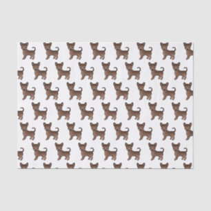 Schokolade, glatter Coat Chihuahua Niedlich Hundes Seidenpapier