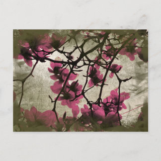 Schokolade Himbeeren-Blossom Zweige Postkarte