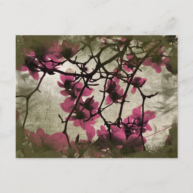 Schokolade Himbeeren-Blossom Zweige Postkarte (Vorderseite)