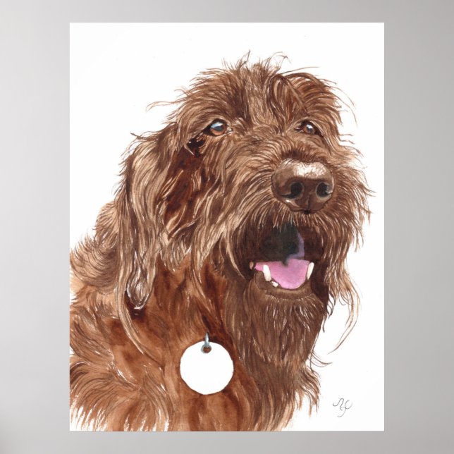 Schokolade Labradoodle #1 Canvas-Druck Poster (Vorne)