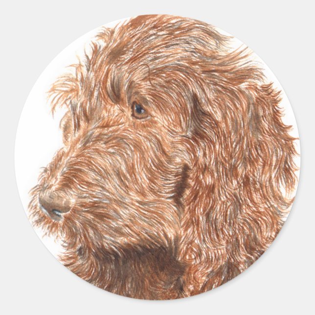 Schokolade Labradoodle #2 Round Stickers (Vorderseite)