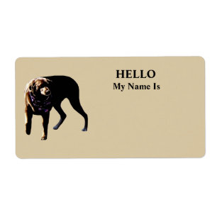 Schokolade Labrador