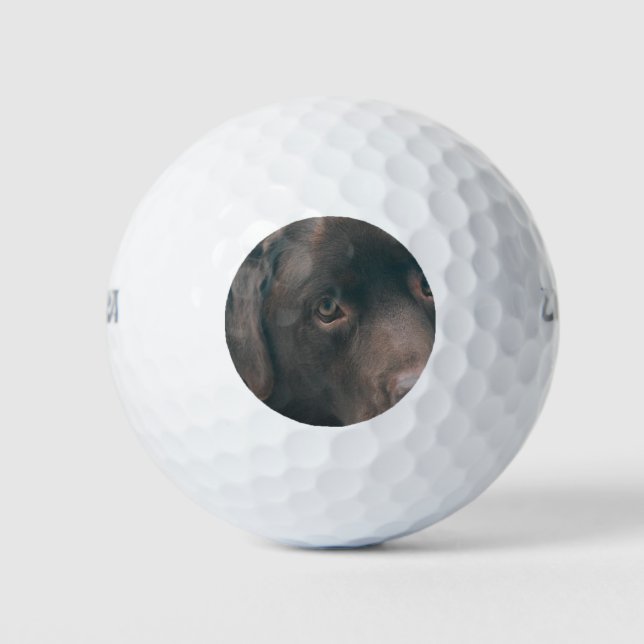 Schokolade-Labrador-14 Golfball (Vorderseite)