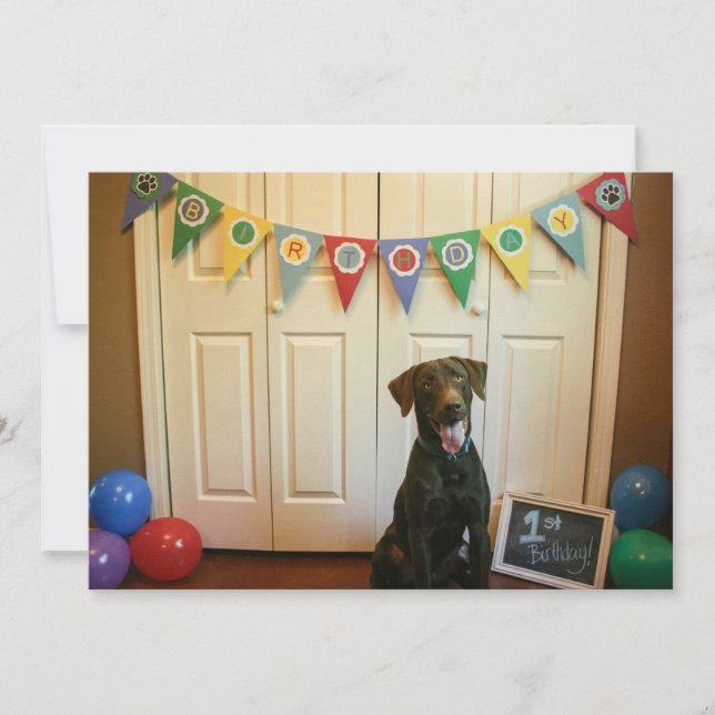 Schokolade Labrador 1. Geburtstag Party Einladung (Vorderseite)