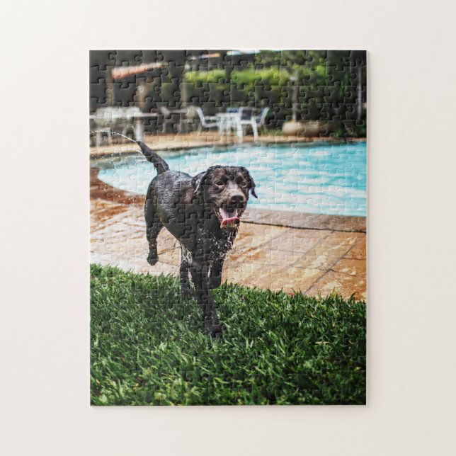Schokolade Labrador am Pool Puzzle (Vertikal)