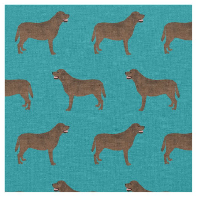 Schokolade Labrador aquamarin Stoff (Nahaufnahme)