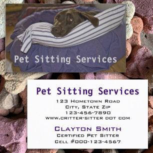 Schokolade Labrador auf Lila und weißem Kissen Visitenkarte