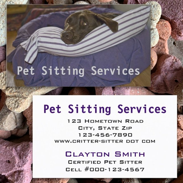 Schokolade Labrador auf Lila und weißem Kissen Visitenkarte (Von Creator hochgeladen)