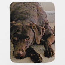 Schokolade-Labrador-Babydecke
