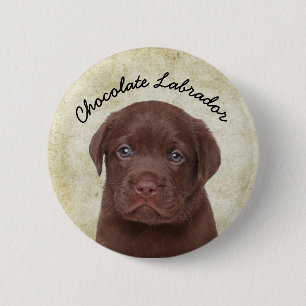 Schokolade Labrador Button
