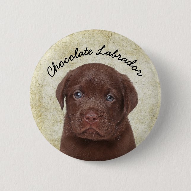 Schokolade Labrador Button (Vorderseite)