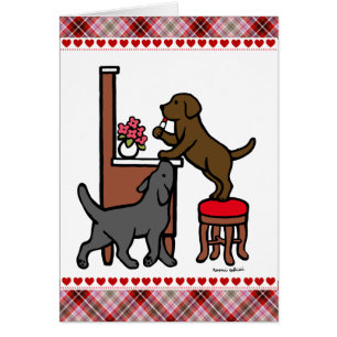 Schokolade-Labrador der Mama und Schwarzes Labor