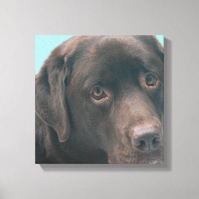 Schokolade Labrador Dog Canvas drucken Leinwanddruck (Vorderseite)