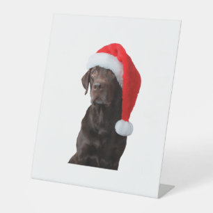 Schokolade Labrador Dog Portrait Weihnachtsmannmüt Sockelschild