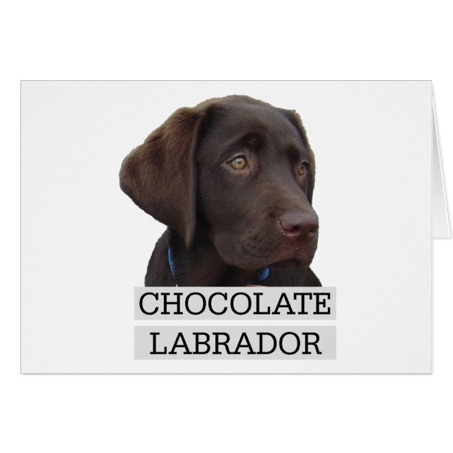 Schokolade Labrador Einzigartiges Design! (Vorderseite (Horizontal))