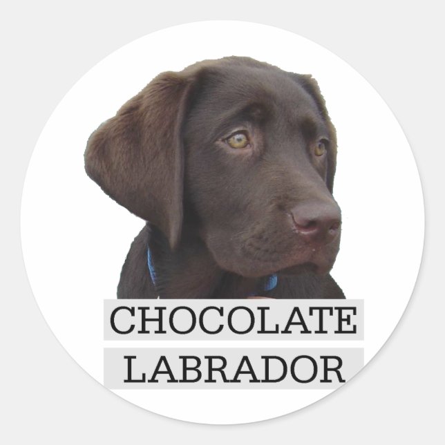 Schokolade Labrador Einzigartiges Design! Runder Aufkleber (Vorderseite)