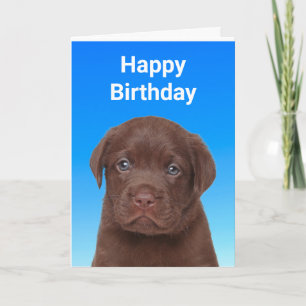 Schokolade Labrador Geburtstag Karte