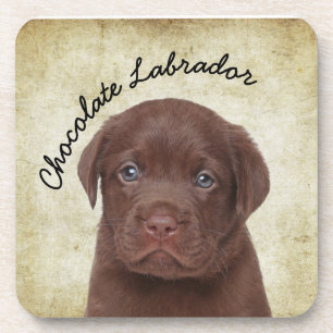 Schokolade Labrador Getränkeuntersetzer
