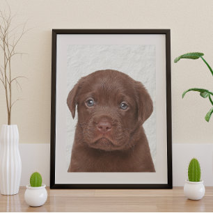 Schokolade Labrador Glossy Poster
