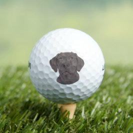 Schokolade Labrador Golfball