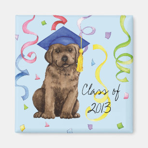 Schokolade Labrador Graduate Magnet