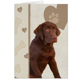 Schokolade Labrador hat Herz
