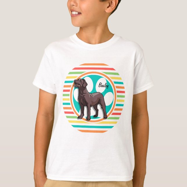 Schokolade Labrador; helle Regenbogenstreifen T-Shirt (Vorderseite)