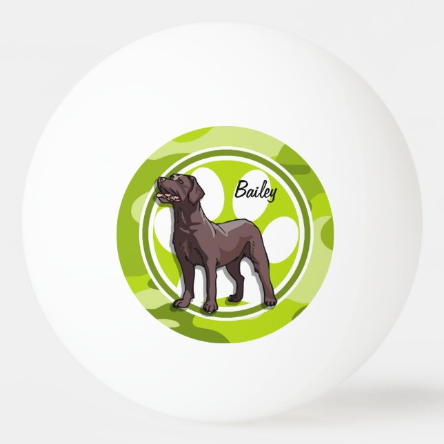 Schokolade Labrador; hellgrüne Camouflage, Tarnung Tischtennisball (Vorderseite)