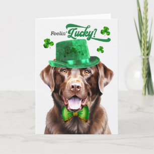 Schokolade Labrador Hund Feelin' Lucky St Patrick' Feiertagskarte
