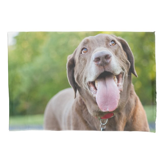 Schokolade Labrador Hund Kissenbezug (Vorderseite)