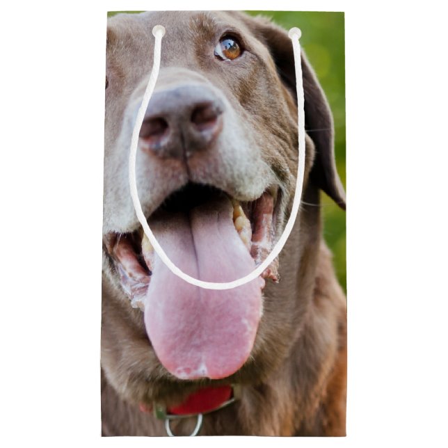 Schokolade Labrador Hund Kleine Geschenktüte (Vorderseite)