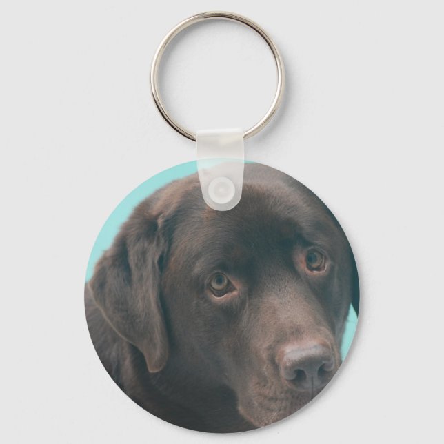 Schokolade Labrador Hund Schlüsselanhänger (Vorderseite)