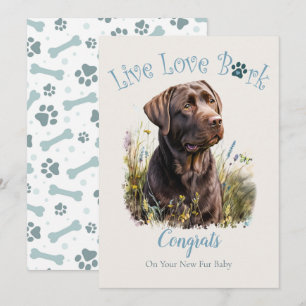 Schokolade Labrador Hunde Adoption, Gotcha Tag Karte