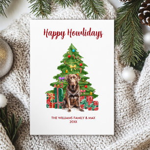 Schokolade Labrador Hunde Weihnachten