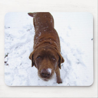 Schokolade Labrador im Schnee Mousepad